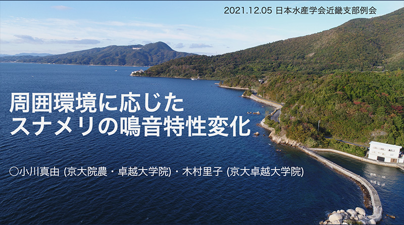 令和3年度日本水産学会近畿支部例会【口頭発表】にて優秀発表賞を受賞